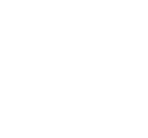 Havaianas