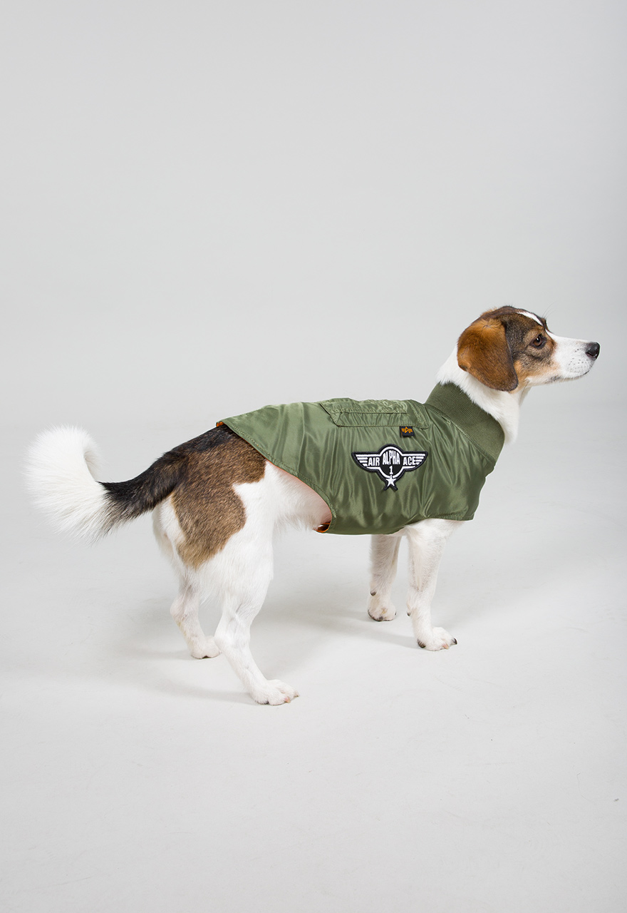 Dog MA-1 jacket sage green